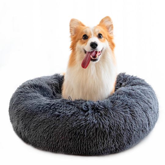 Dog Bed