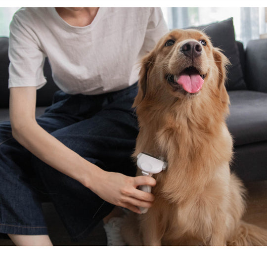 Person grooming golden retriever with pet grooming tool at home