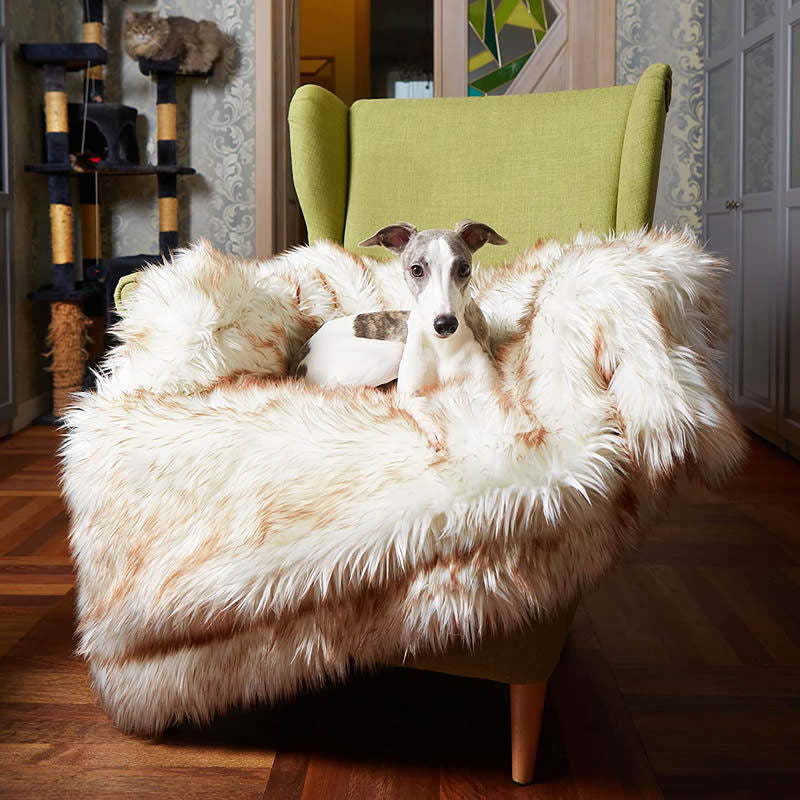Dog Bed Machine Washable