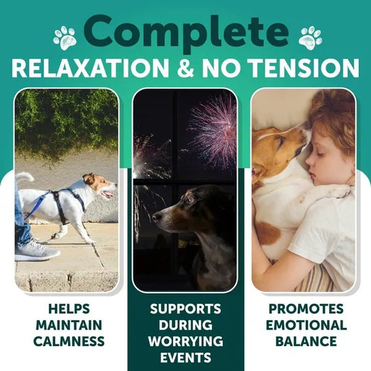 hemp calming chews for dogs