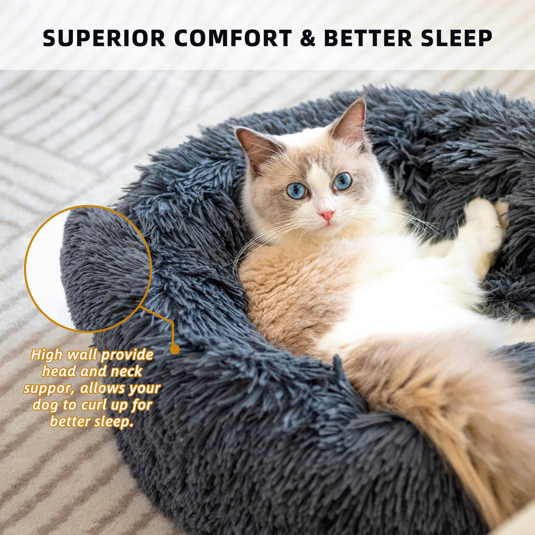 Dog Bed