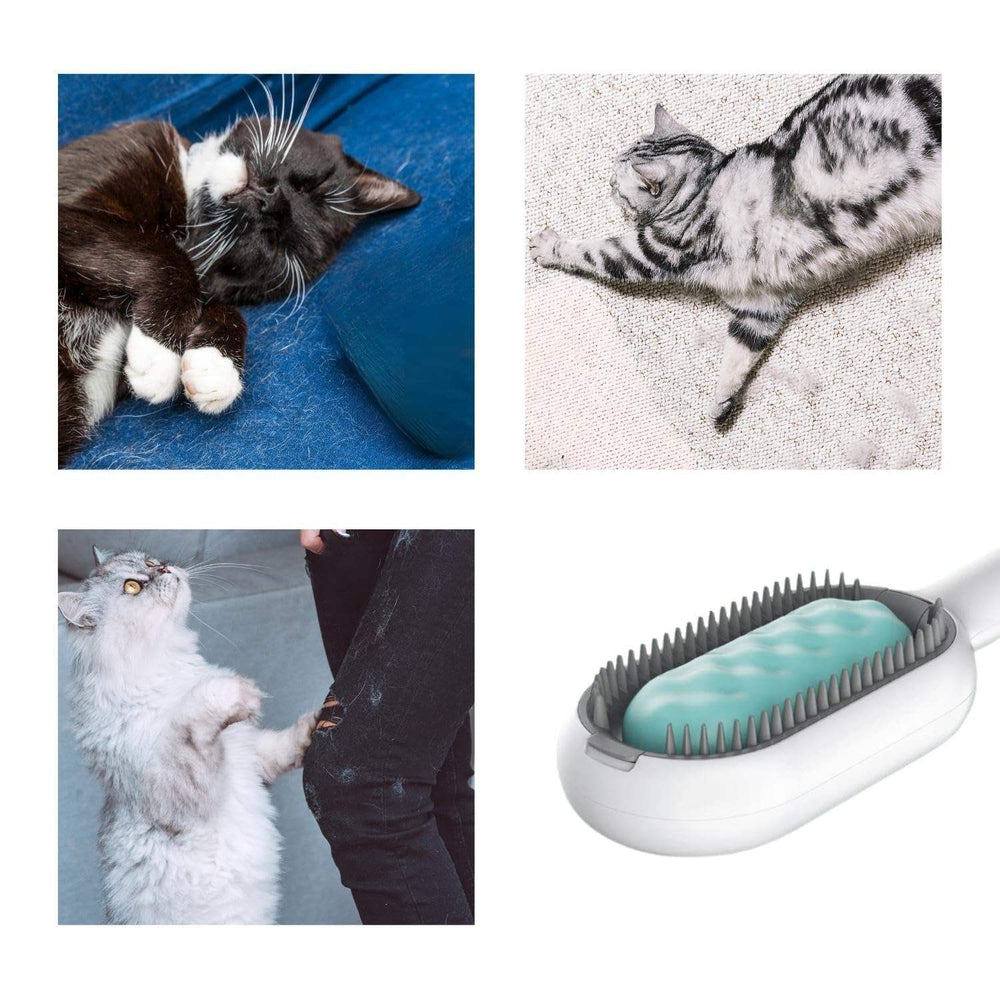 Cat Hair Brush with Water | 4-in-1 Pet Grooming Brush