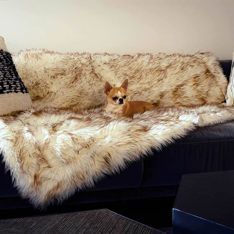 Dog Bed Machine Washable