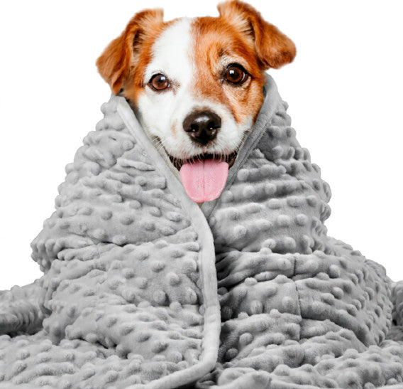 Pet Anxiety Blanket for Dogs