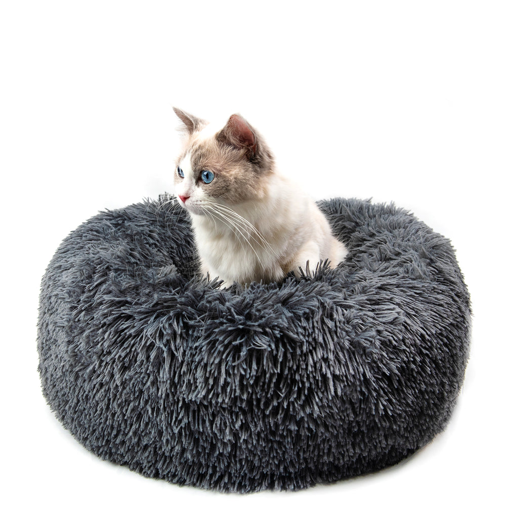 Dog Bed