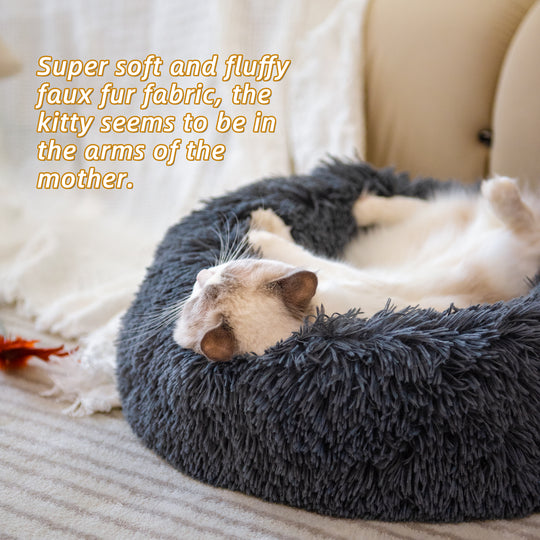 Dog Bed