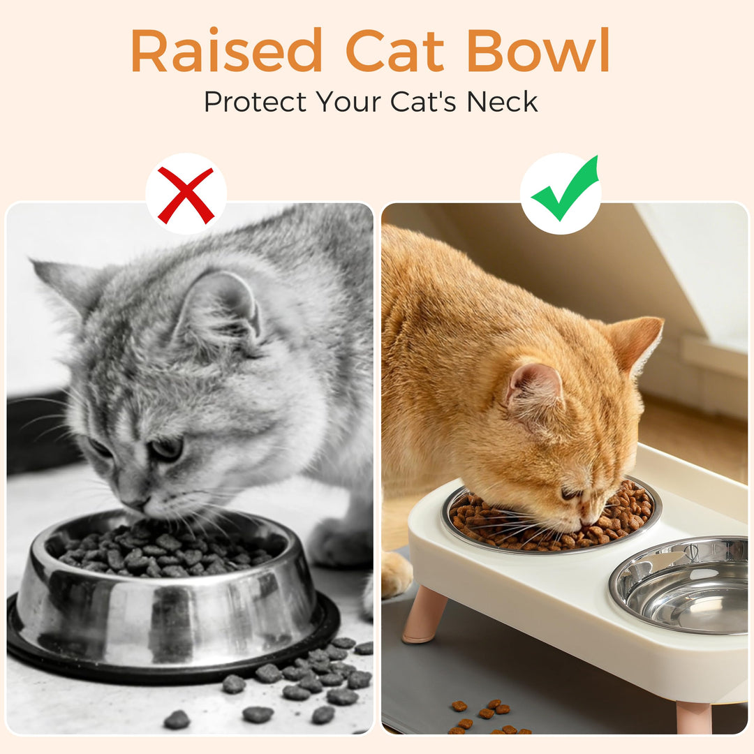 Elevated Cat Bowls Set with stainless steel bowls