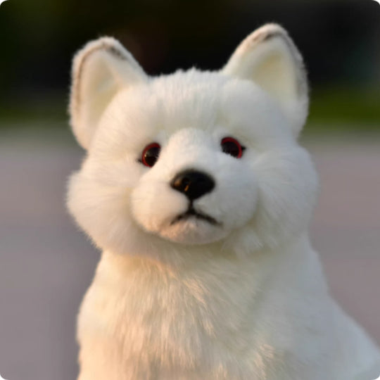 Animal Plush Toy 