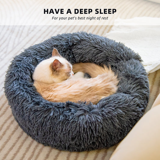 Dog Bed