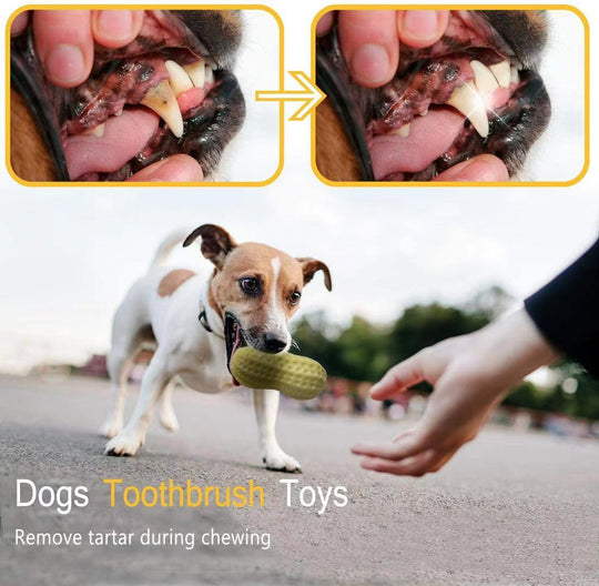 Funny Pet Dog Squeaky Toys 
