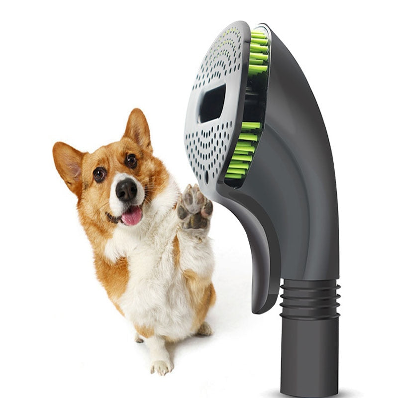 Corgi dog with pet grooming brush featuring green bristles and suction design for easy shedding control