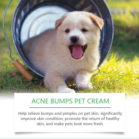 Pet Skin Health Cream for dogs and cats