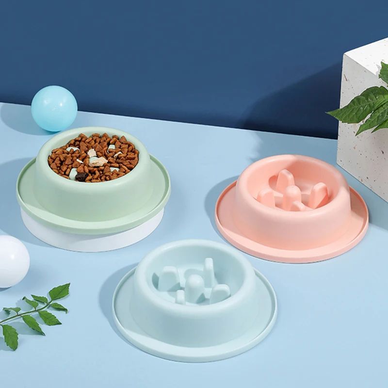 Pet Slow Eating Feeder Dog Feeding Food Bowls 