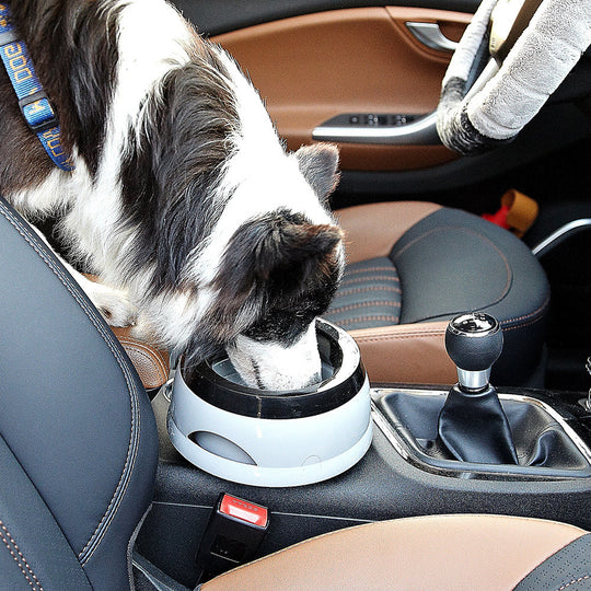 Pet Dog Bowls