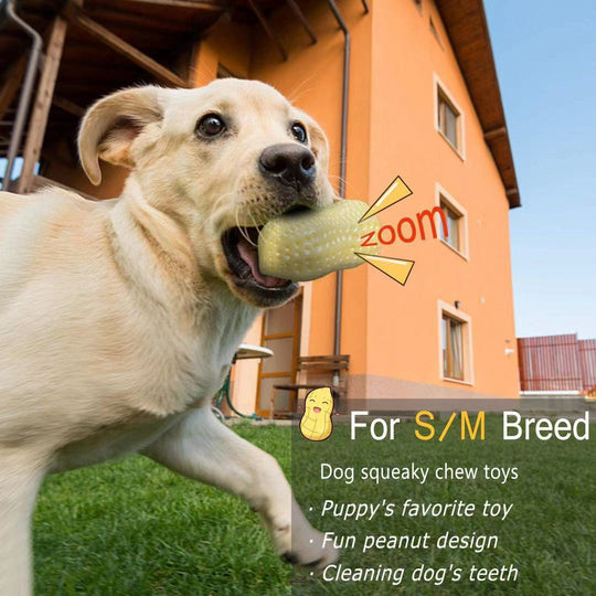 Funny Pet Dog Squeaky Toys 