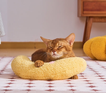 Cat U-shaped