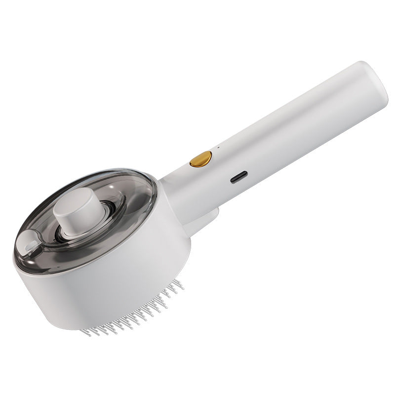 Steam Pet Brush