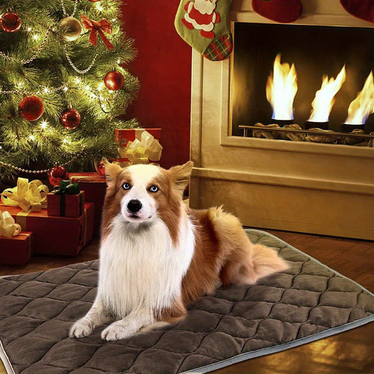 Pet Self-Warming Heating Pad for Dogs & Cats | Jannat Store