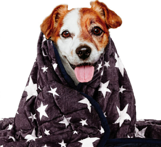 Pet Anxiety Blanket for Dogs