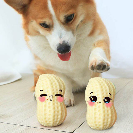 Funny Pet Dog Squeaky Toys 