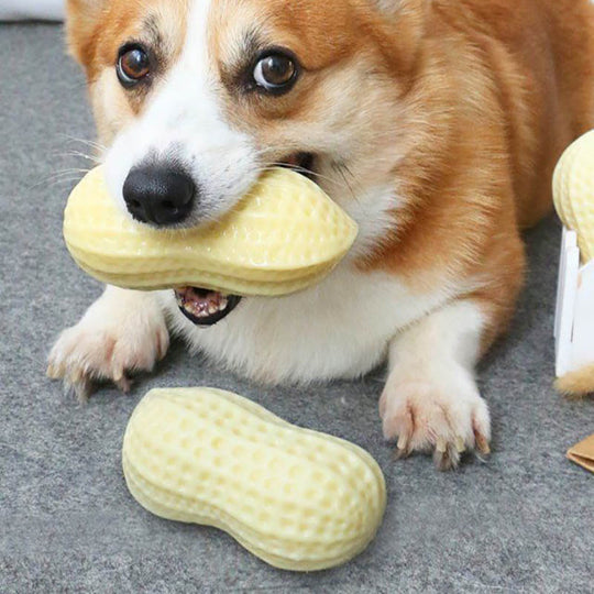 Funny Pet Dog Squeaky Toys 