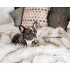 Dog Bed Machine Washable