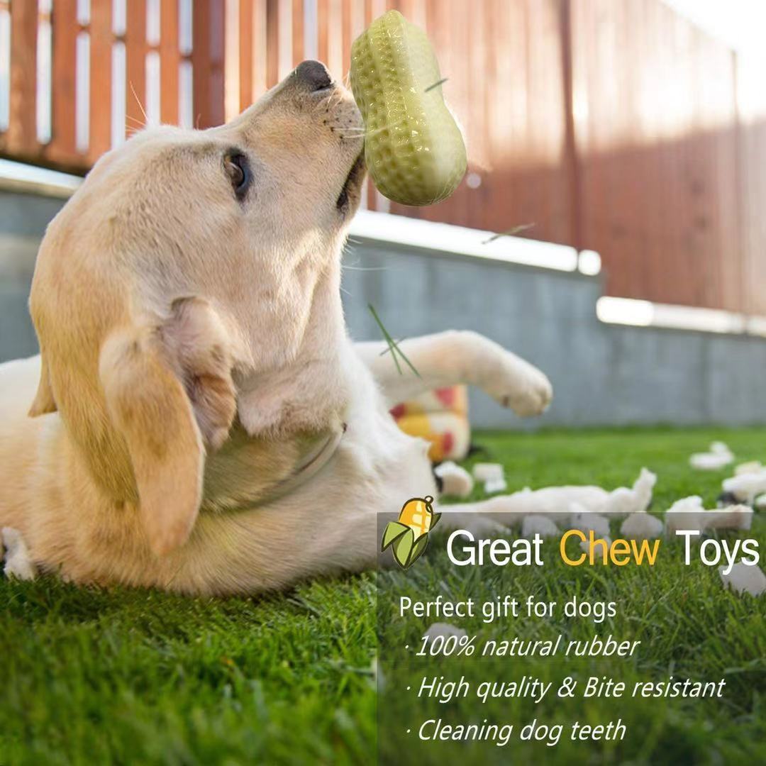 Funny Pet Dog Squeaky Toys 