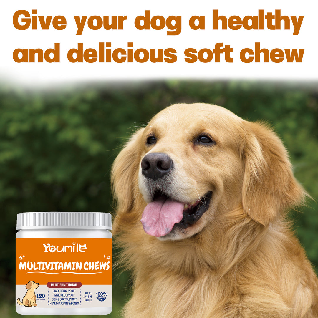 Multifunctional Dog Health Vitamins 300g