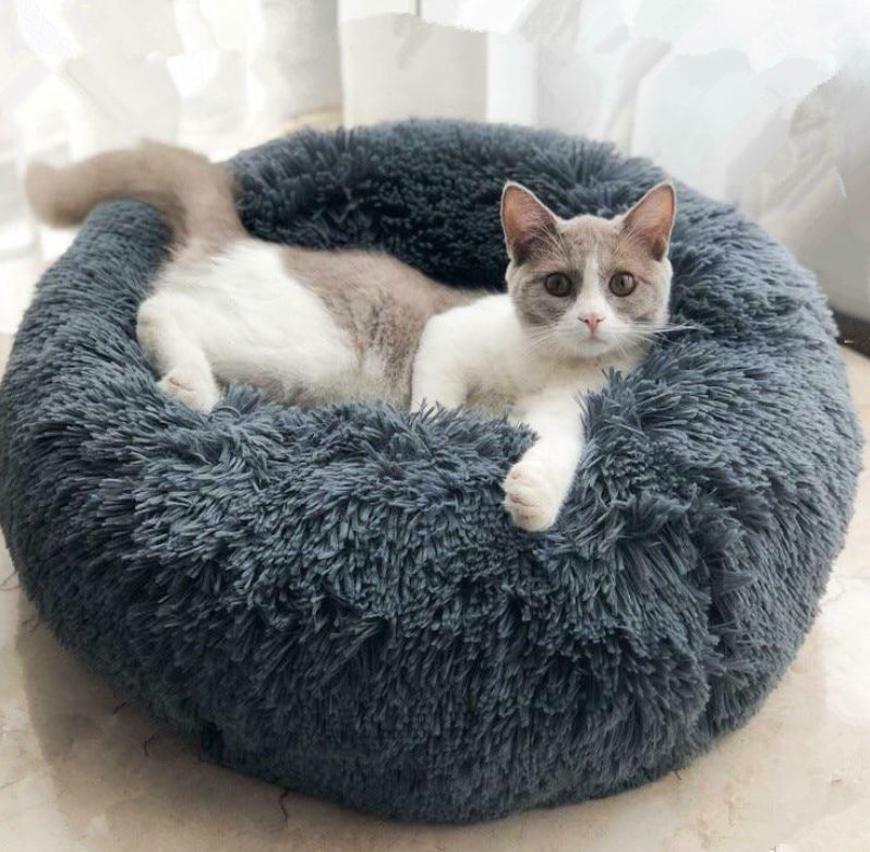 Dog Beds