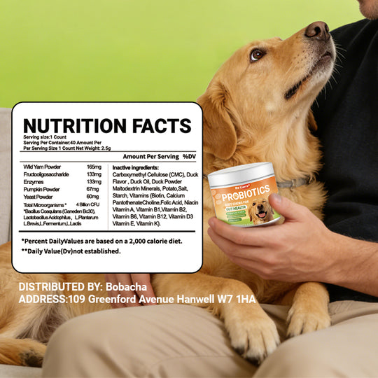 Intestinal Health Chewing Tablets for dogs