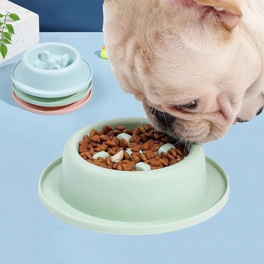 Pet Slow Eating Feeder Dog Feeding Food Bowls 