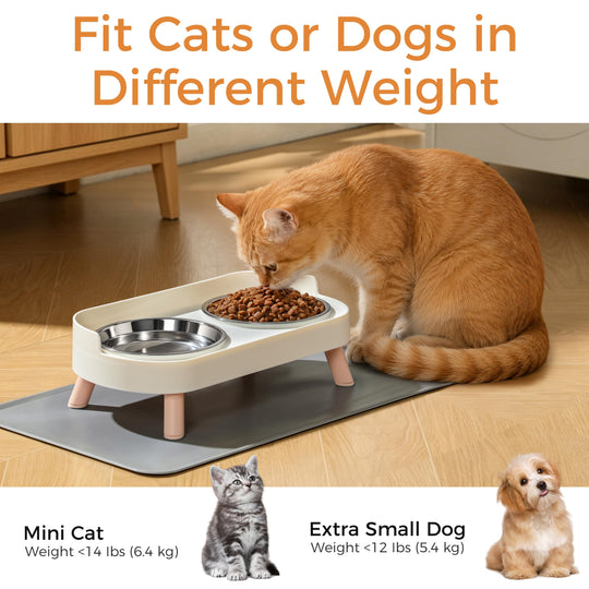 Elevated Cat Bowls Set with stainless steel bowls