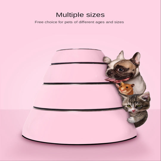 Dog Supplies Bowls 