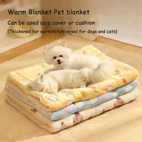Dog Blanket