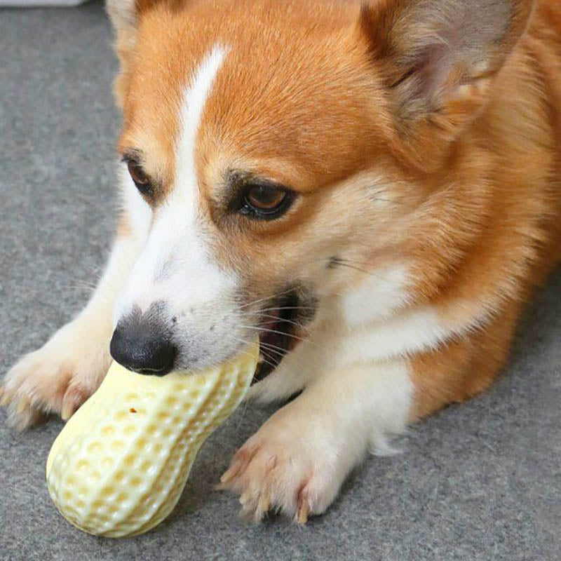 Funny Pet Dog Squeaky Toys 