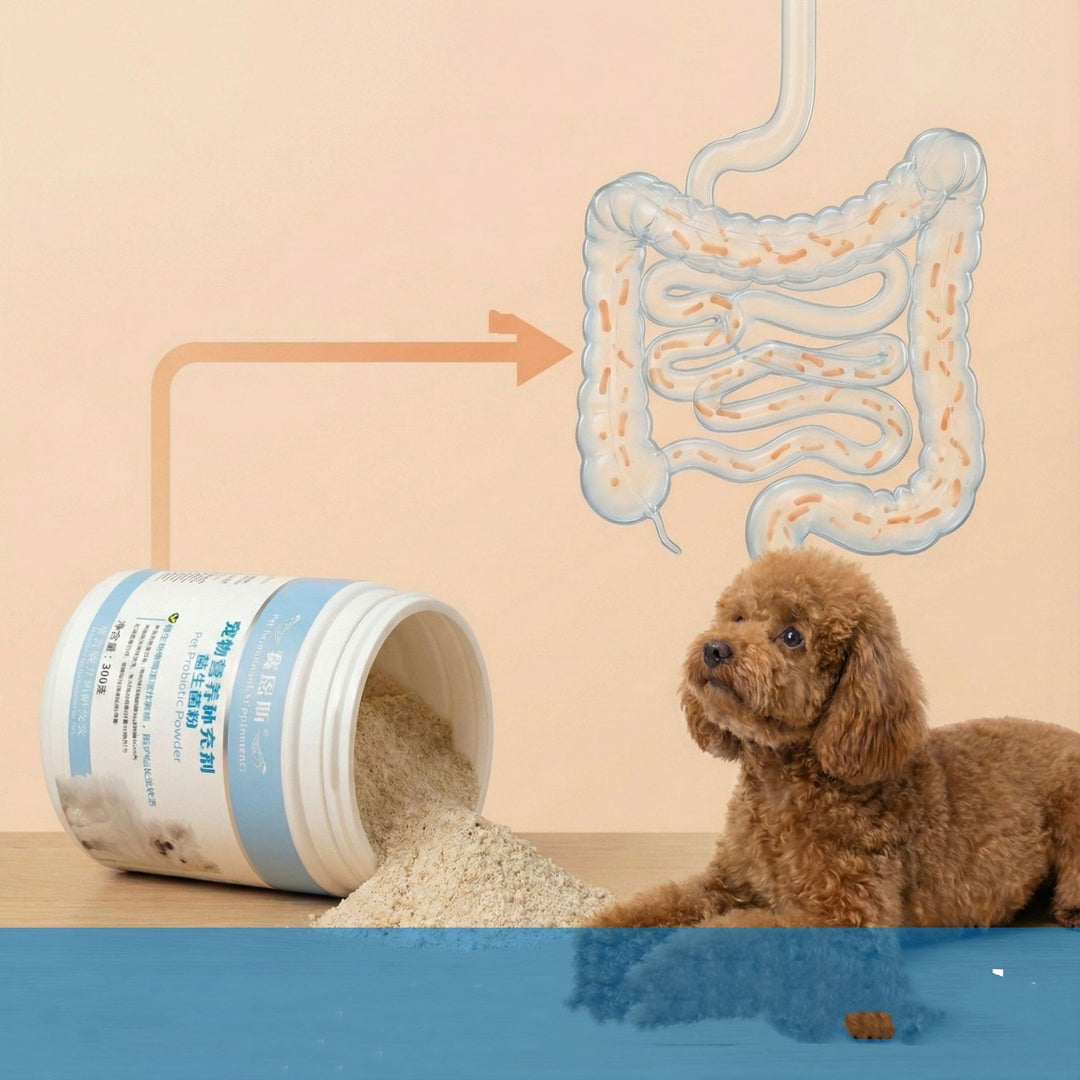 Pet Nutritional Supplements for Gut Health