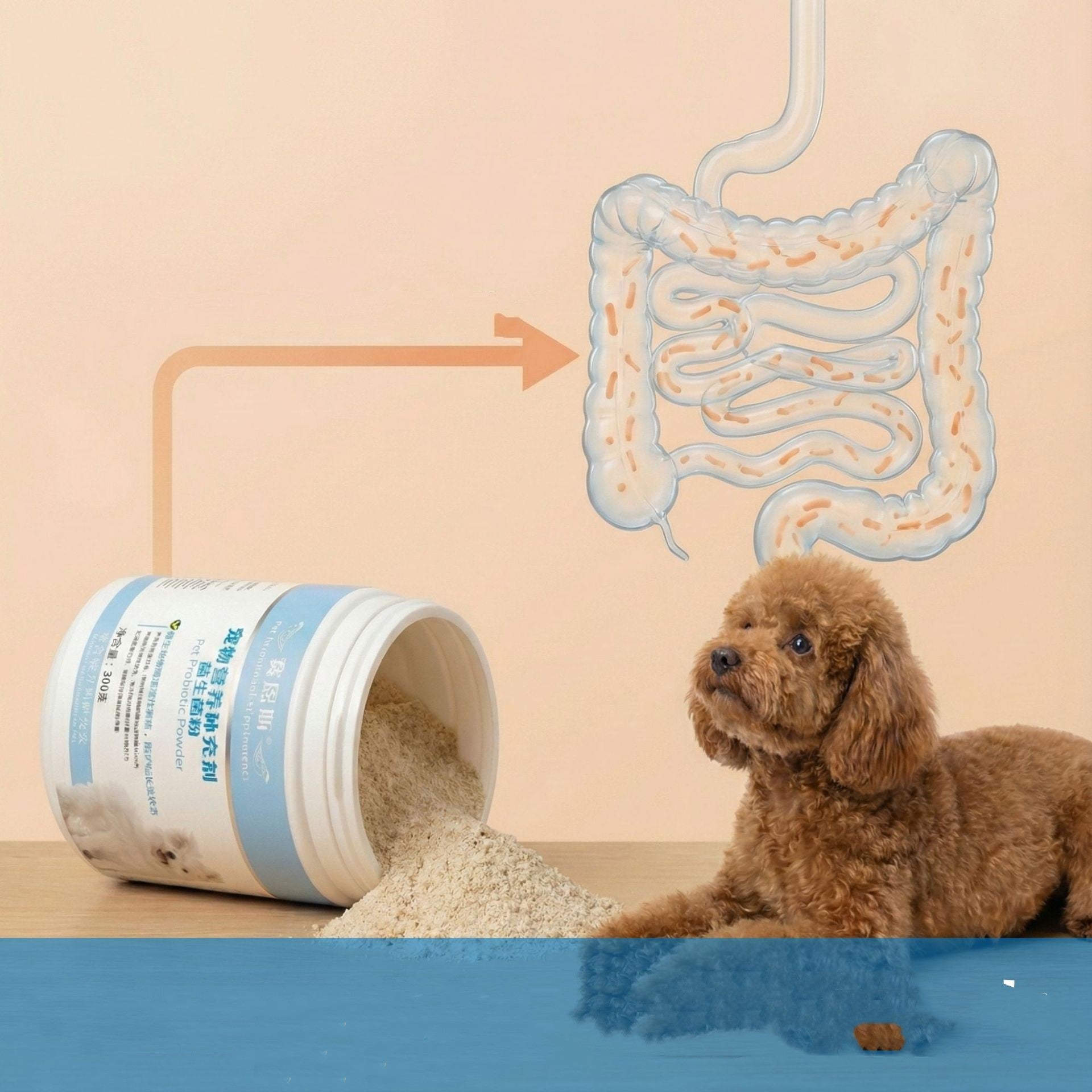 Pet Nutritional Supplements for Gut Health