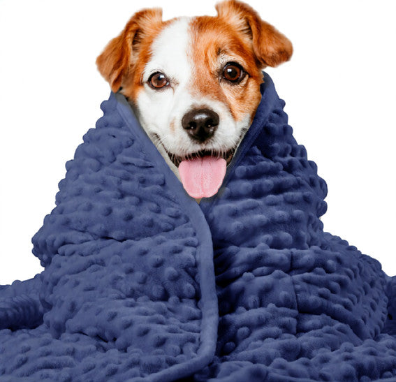 Pet Anxiety Blanket for Dogs