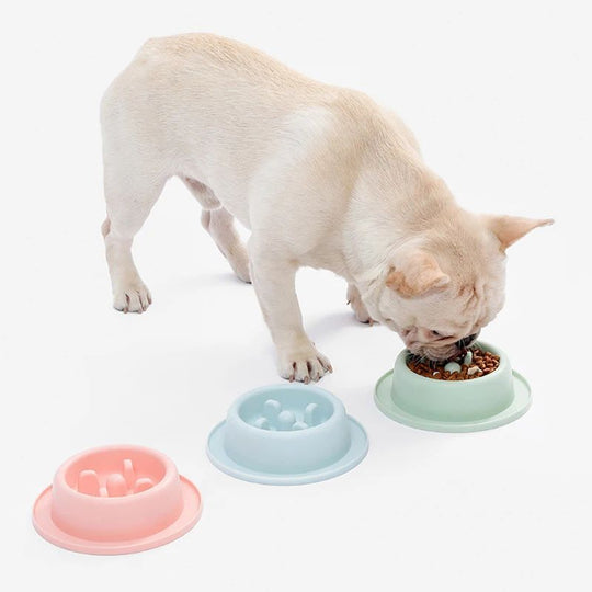 Pet Slow Eating Feeder Dog Feeding Food Bowls 