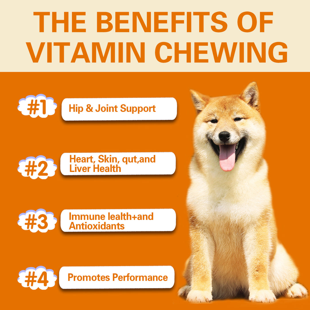 Multifunctional Dog Health Vitamins 300g