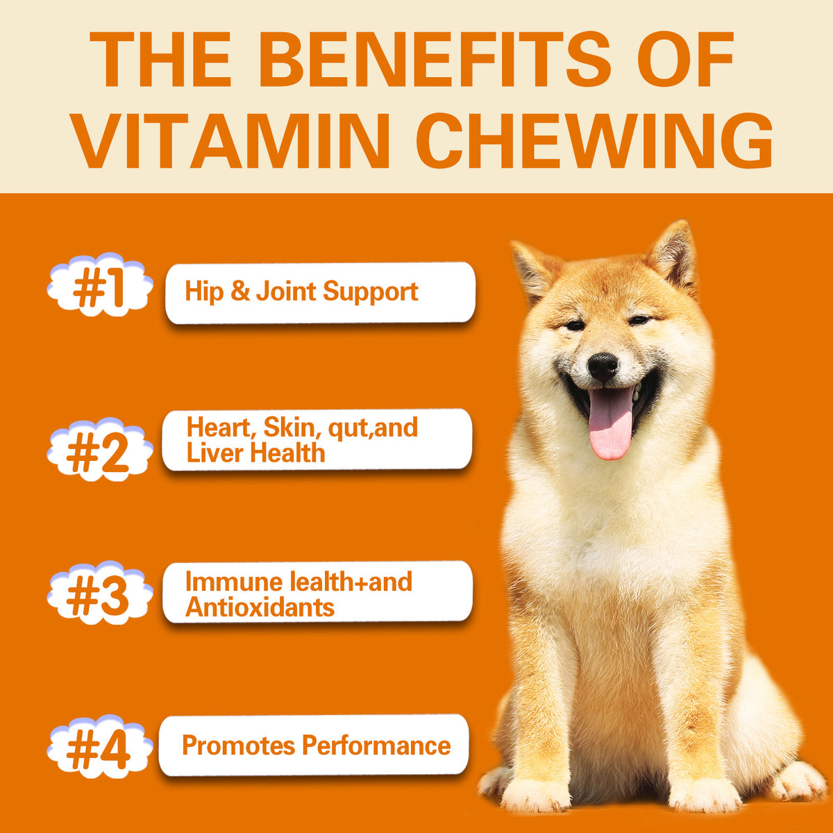 Multifunctional Dog Health Vitamins 300g