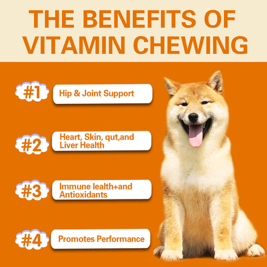 Multifunctional Dog Health Vitamins 300g