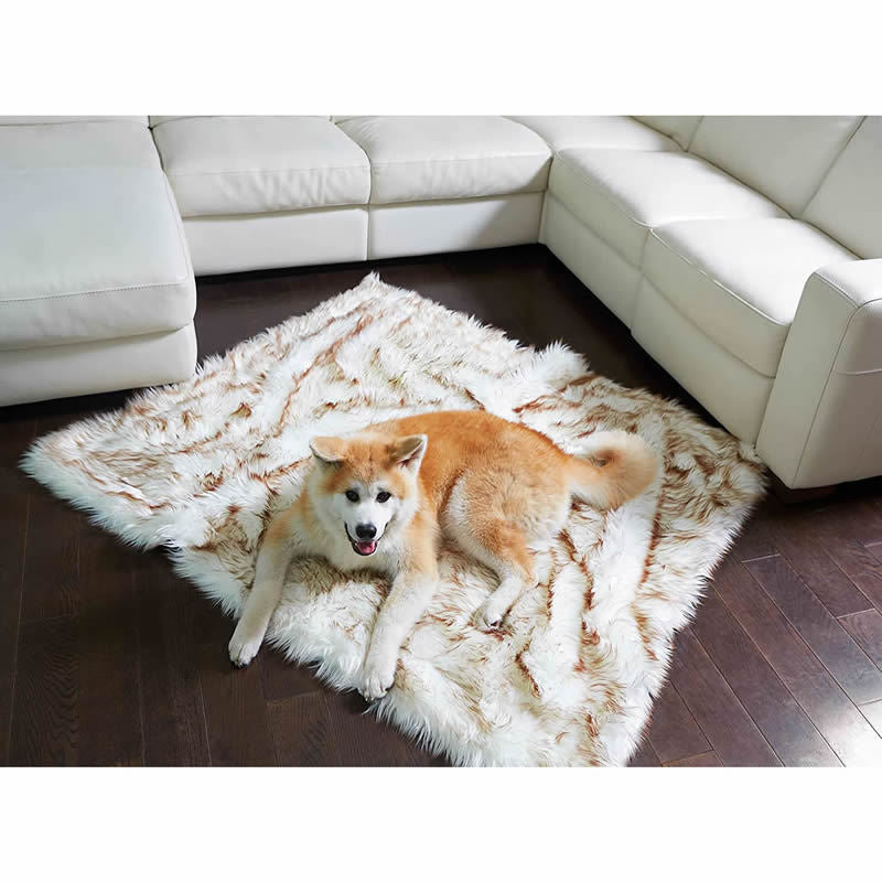 Dog Bed Machine Washable