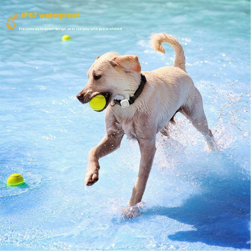 Pet GPS Health Monitoring Tracker
