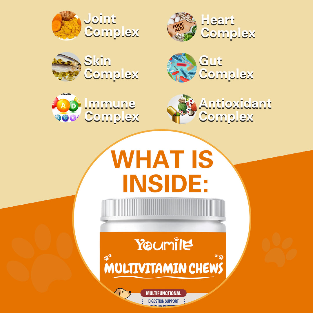 Multifunctional Dog Health Vitamins 300g