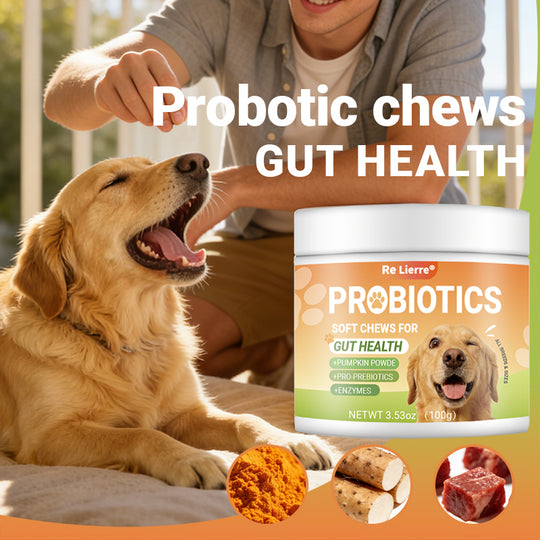 Intestinal Health Chewing Tablets for dogs