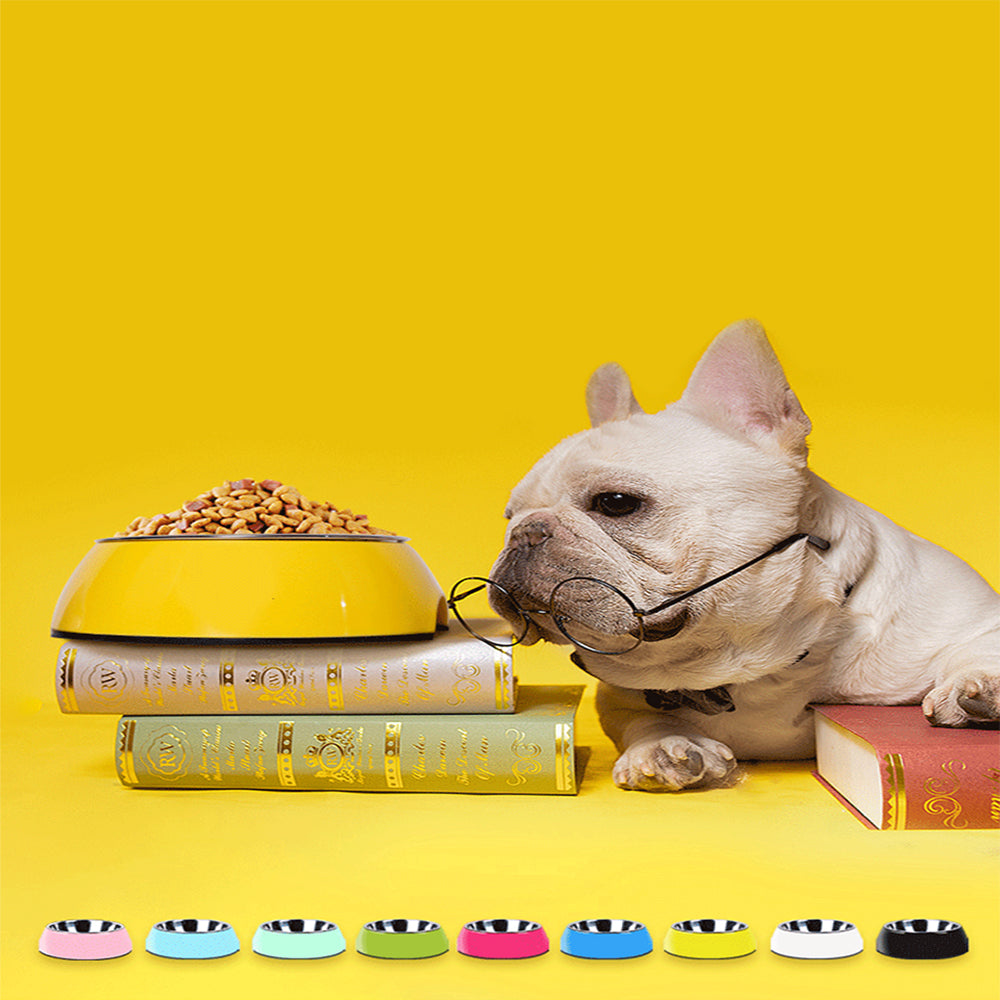 Dog Supplies Bowls 
