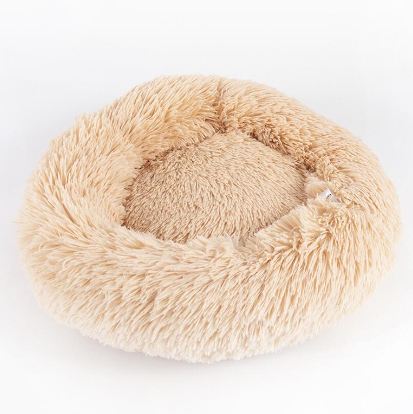 Dog Beds