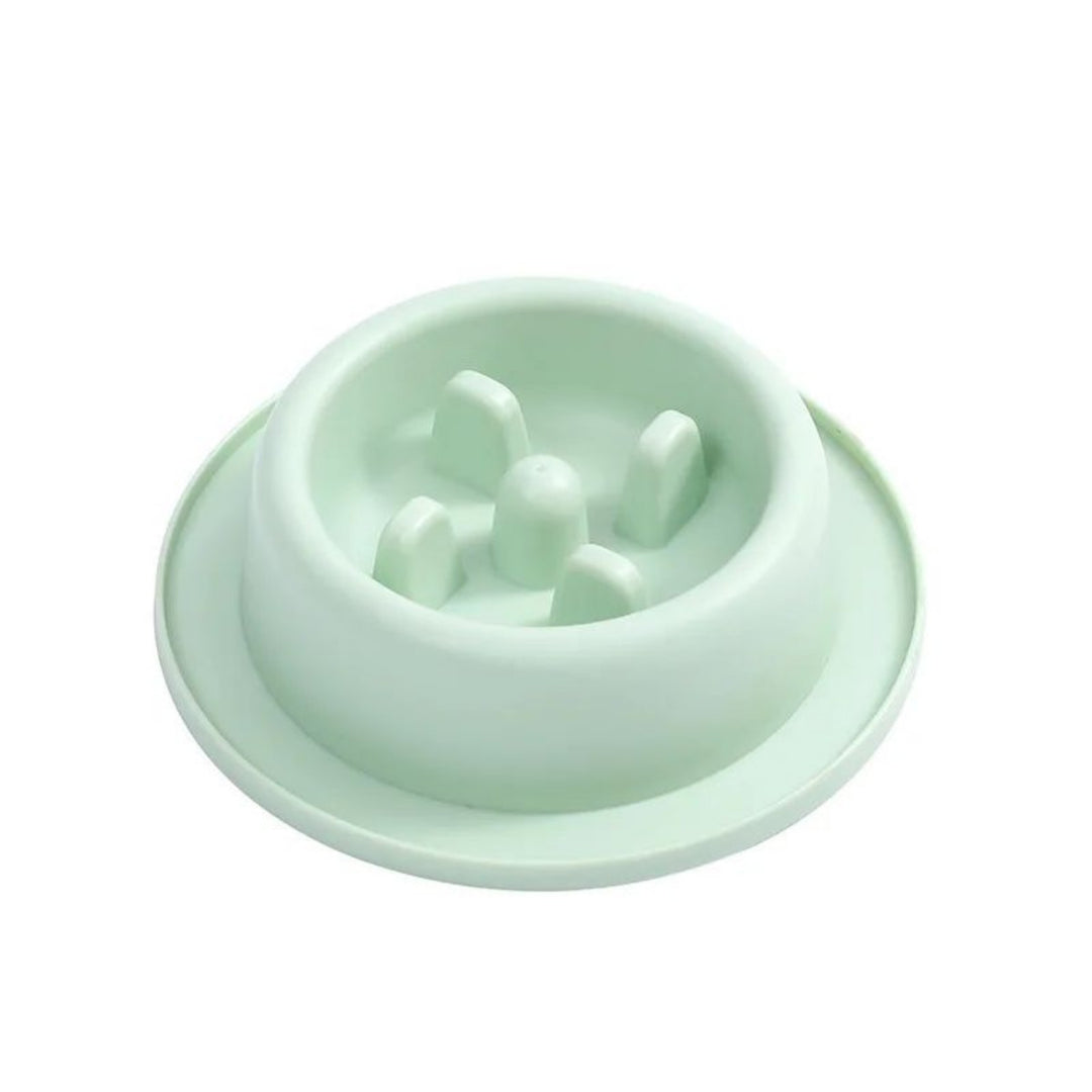 Pet Slow Eating Feeder Dog Feeding Food Bowls 