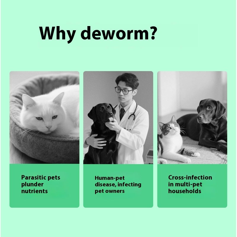 Pet Itching Relief Products for dogs